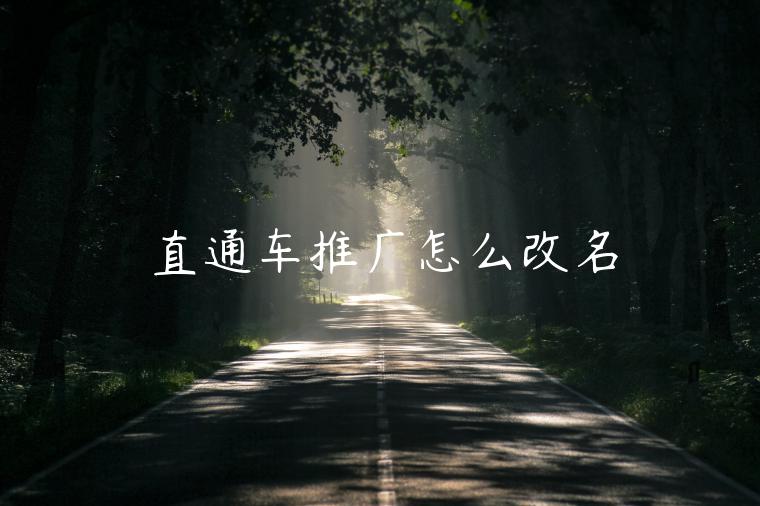 直通車推廣怎么改名